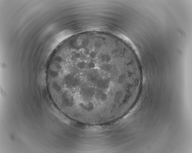 X0000091341019200708101440
