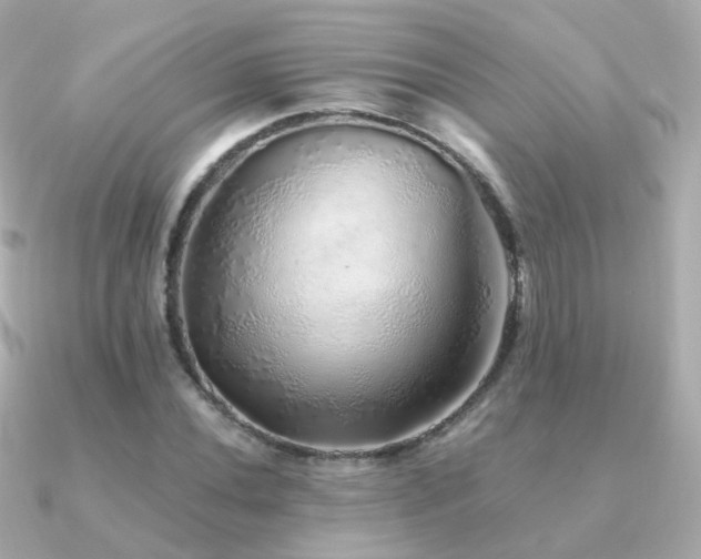 X0000091341020200708101440