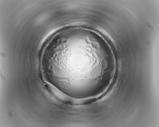 X0000091341021200708101440