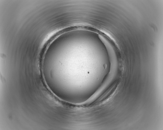 X0000091341022200708101440