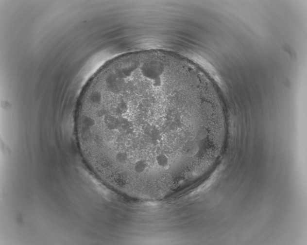 X0000091341023200708101440