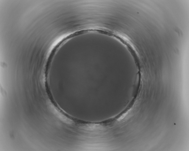 X0000091341024200708101440