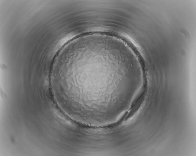 X0000091341025200708101440