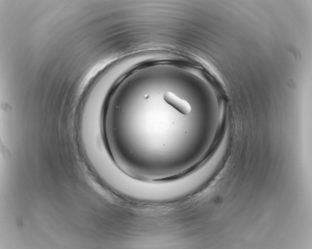 X0000091341026200708101440