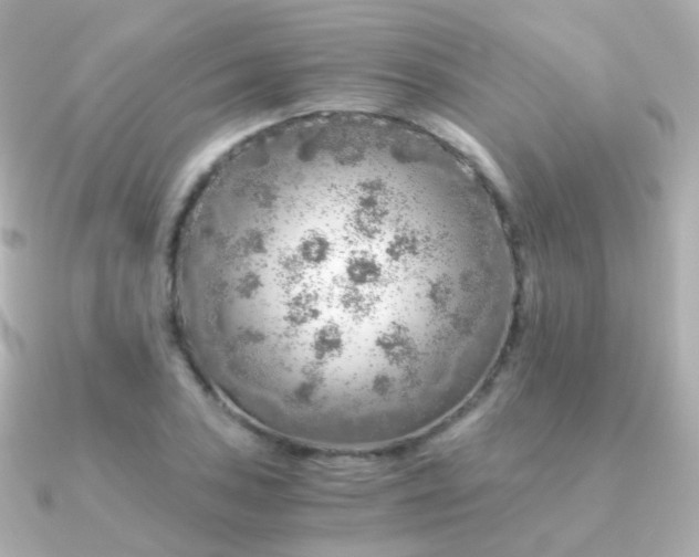 X0000091341027200708101440
