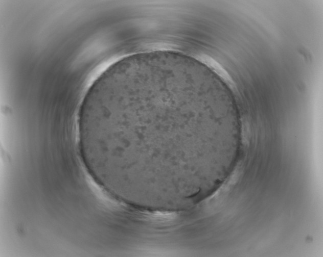 X0000091341031200708101440