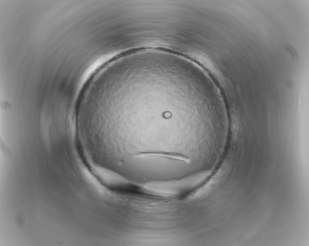 X0000091341032200708101440