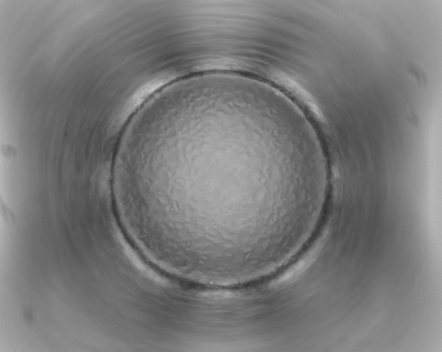 X0000091341033200708101440