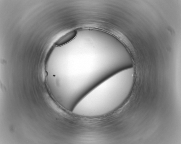 X0000091341036200708101440
