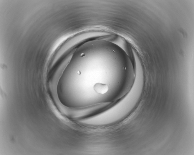 X0000091341038200708101440