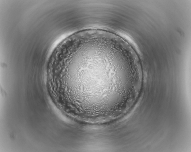 X0000091341040200708101440