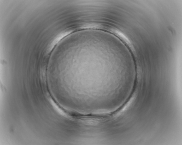 X0000091341041200708101440