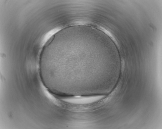 X0000091341042200708101440