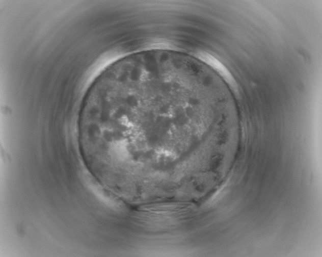 X0000091341043200708101440
