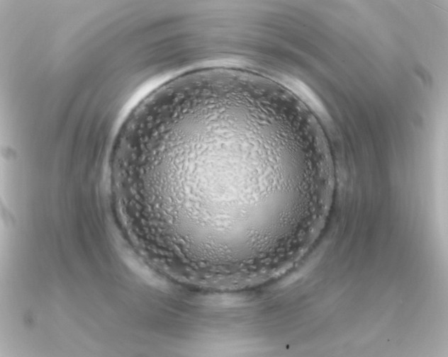 X0000091341044200708101440