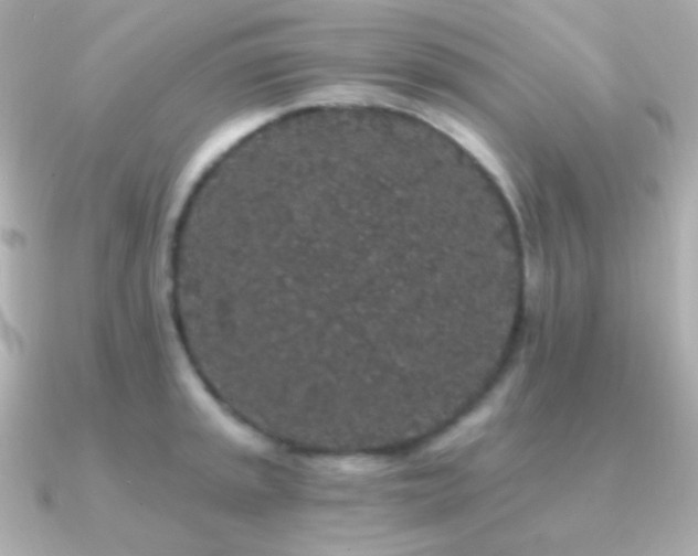 X0000091341045200708101440
