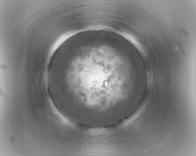 X0000091341046200708101440
