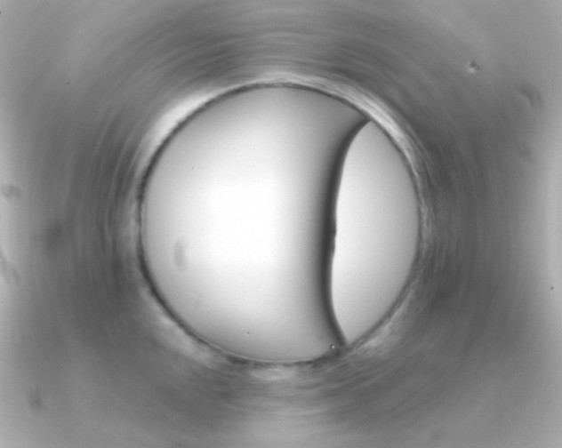 X0000091341048200708101440