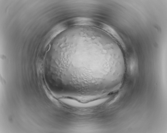 X0000091341049200708101440