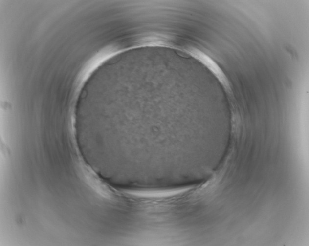X0000091341051200708101440