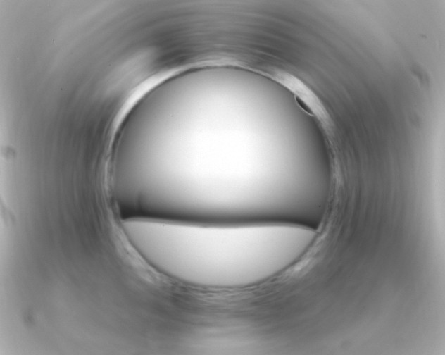 X0000091341052200708101440