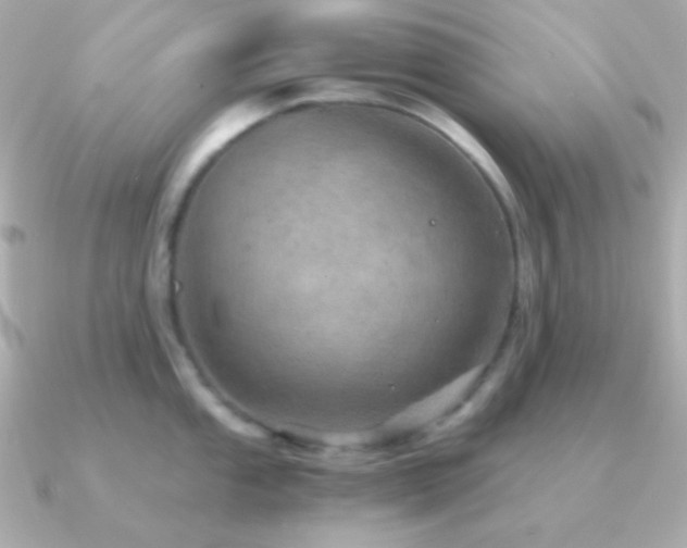 X0000091341053200708101440