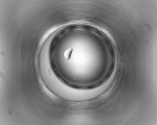 X0000091341054200708101440