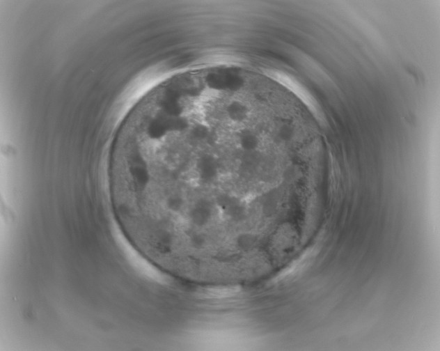 X0000091341055200708101440