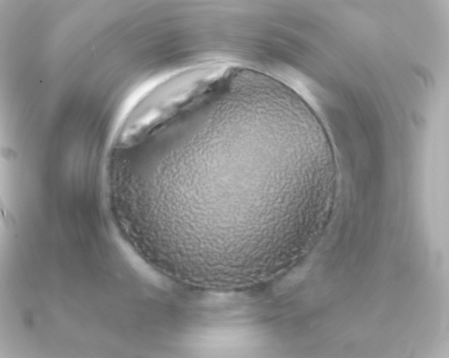 X0000091341056200708101440