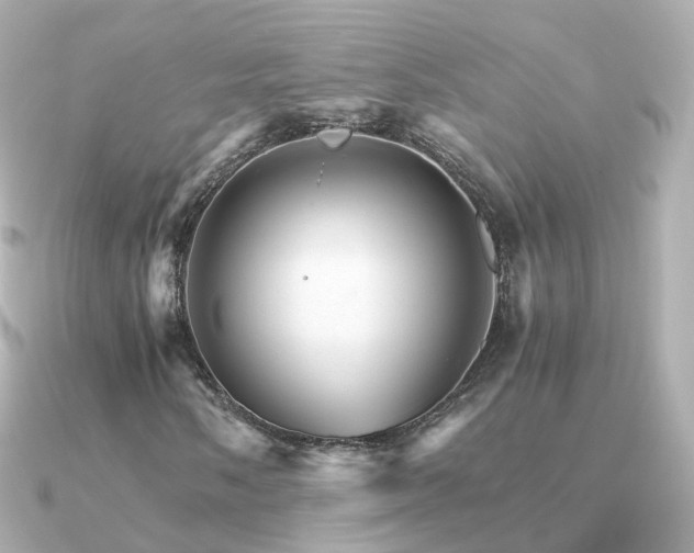 X0000091341058200708101439