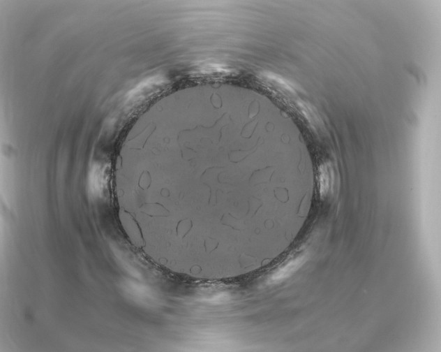 X0000091341059200708101439