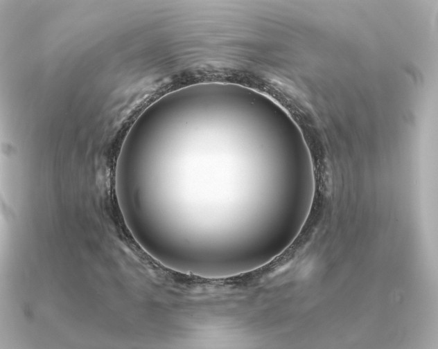 X0000091341061200708101439