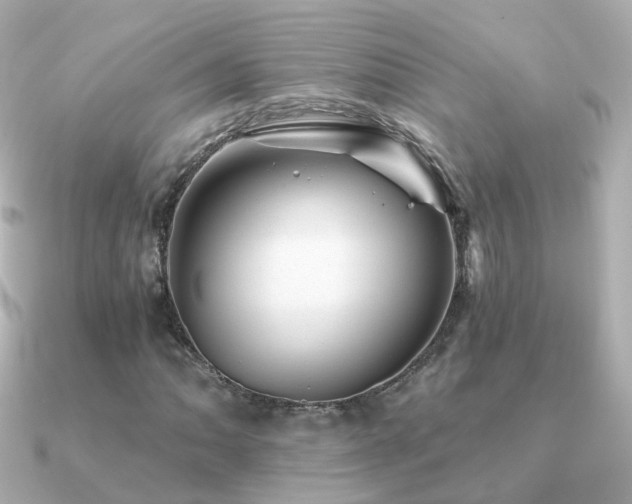 X0000091341062200708101439