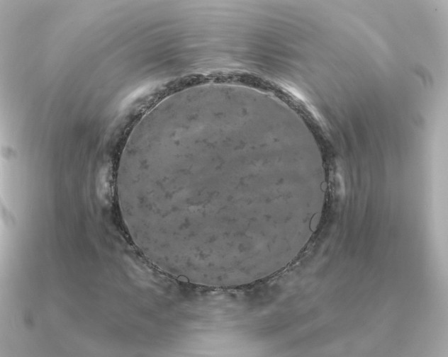 X0000091341063200708101439