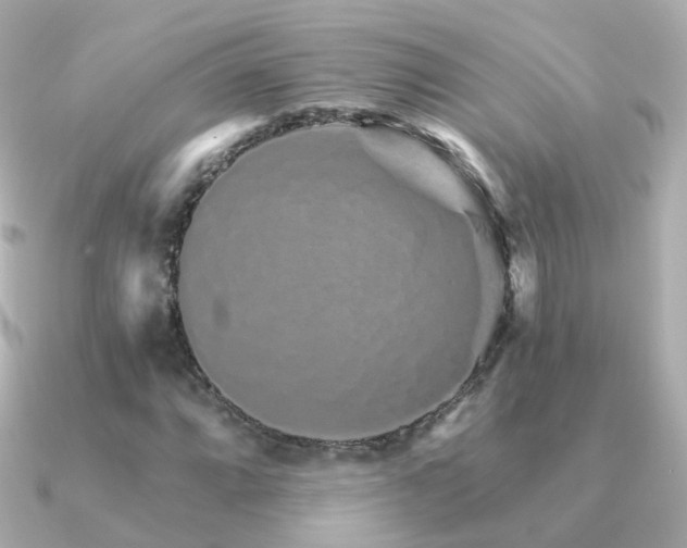 X0000091341064200708101439