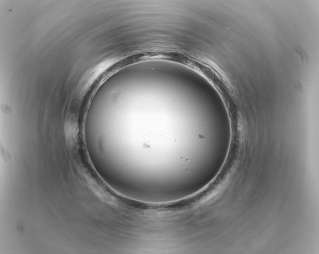 X0000091341065200708101439