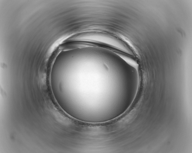 X0000091341066200708101439