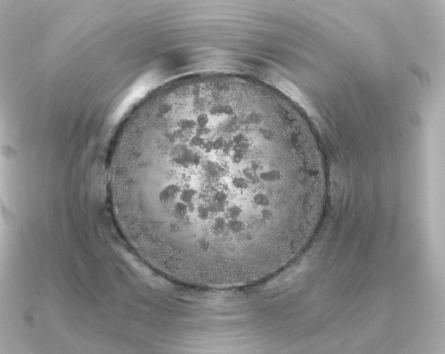 X0000091341067200708101439