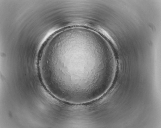 X0000091341068200708101439