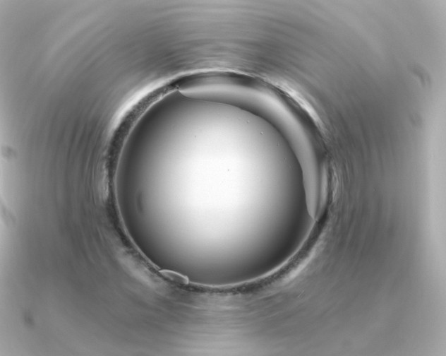 X0000091341069200708101439