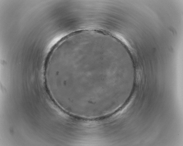X0000091341071200708101439