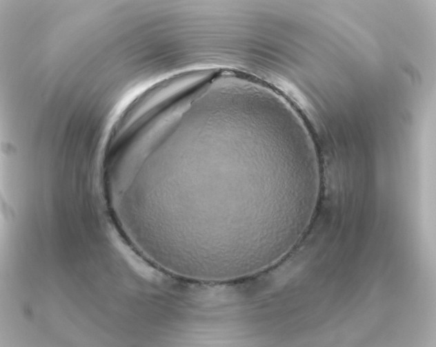 X0000091341072200708101439