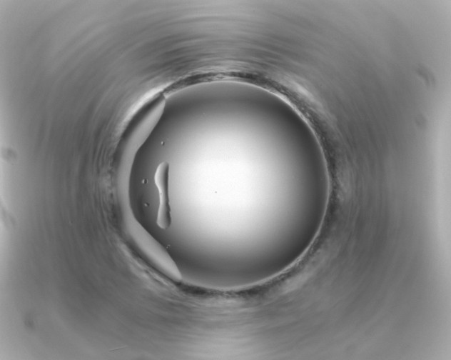 X0000091341073200708101439