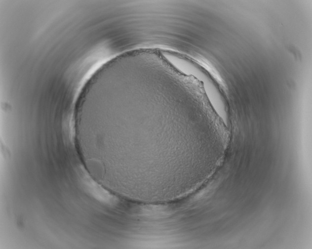 X0000091341076200708101439