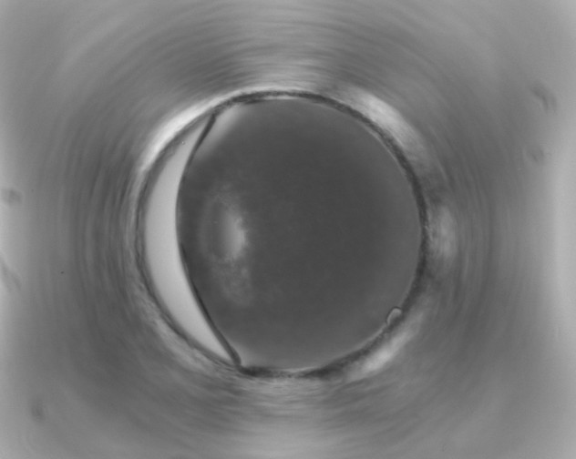 X0000091341077200708101439