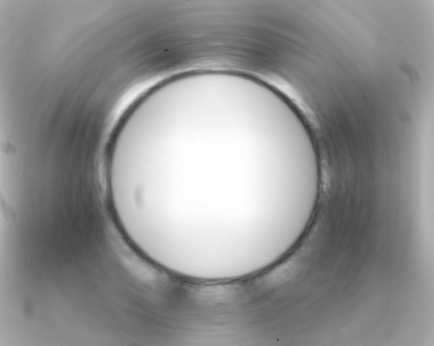 X0000091341078200708101439