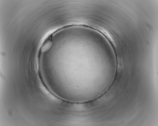 X0000091341080200708101439