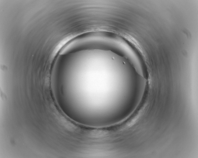 X0000091341081200708101439