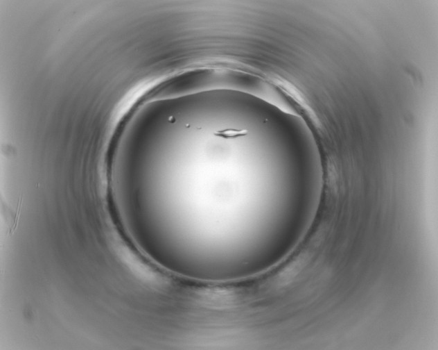 X0000091341082200708101439