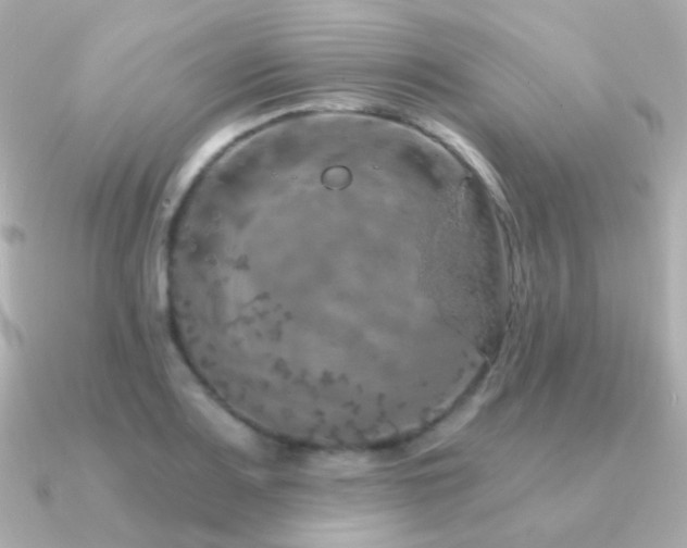 X0000091341083200708101439